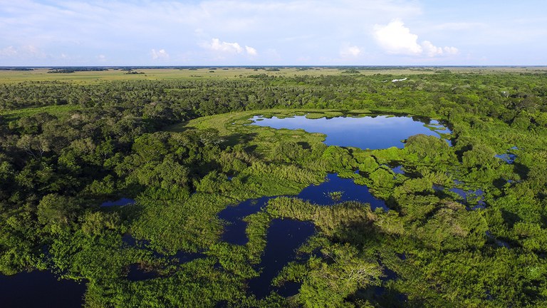 Ações de compensação ambiental somam mais de R$ 319 milhões