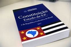 Normas estaduais sobre destinação de áreas verdes em municípios paulistas é inconstitucional