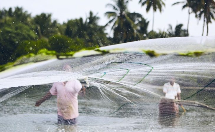 Indícios de irregularidades leva Governo Federal a suspender mais de 5 mil licenças